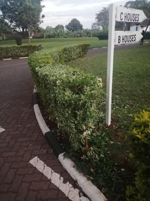 De Gold Nest-opposite Embassy * Nairobi
