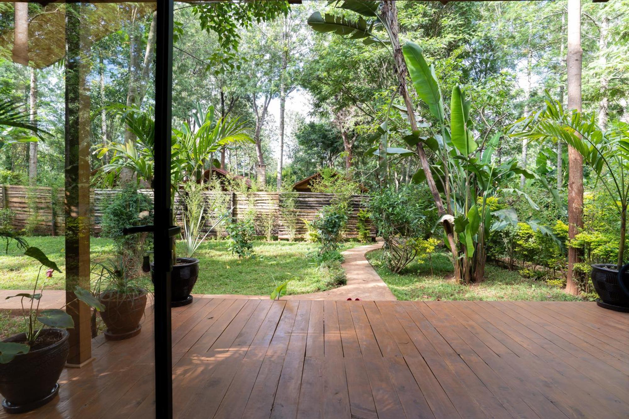 The Jungle Oasis With Heated Pool