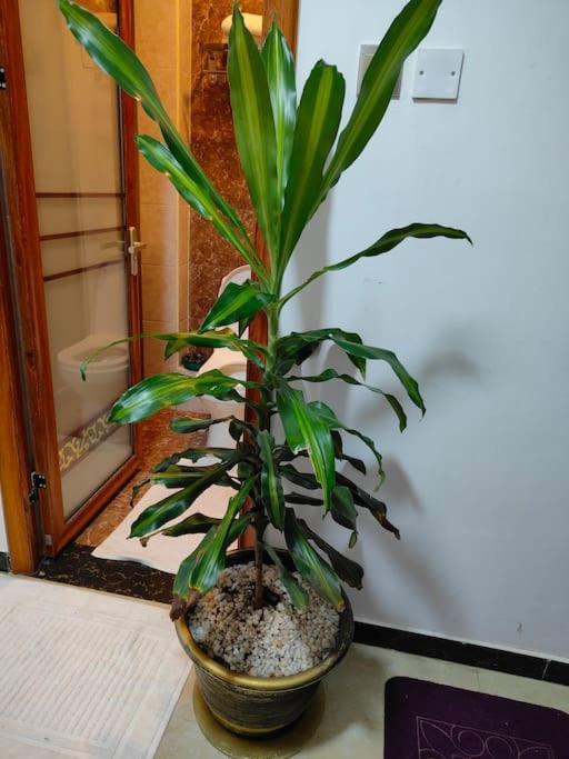 Lovely On Dennis Pritt Kilimani Apartment *