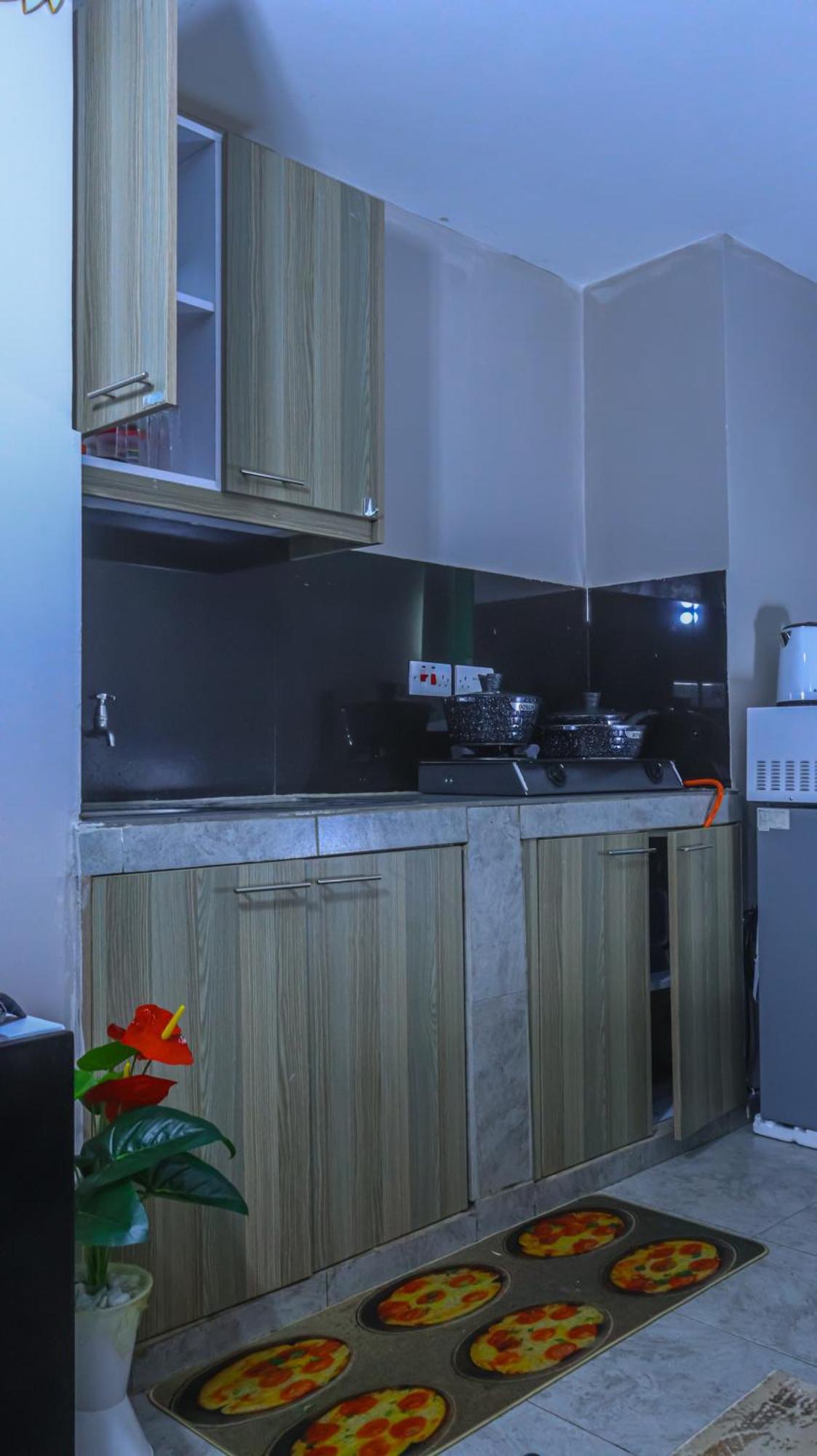 Apartment Amazing Cozy Studio Near Jkia Airport