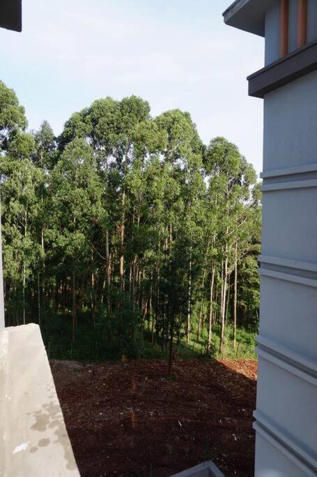 Apartment Modern 2br Sanctuary, Pool & Gym Nairobi