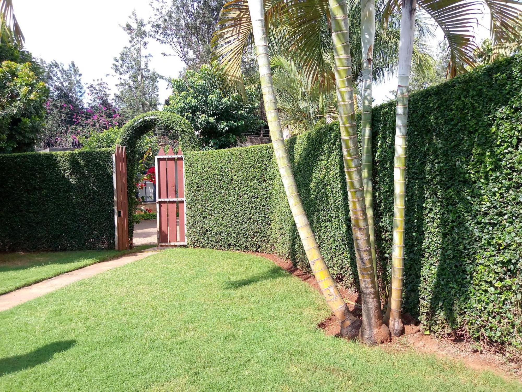 Cozy Guest Wing For Rent In Runda *