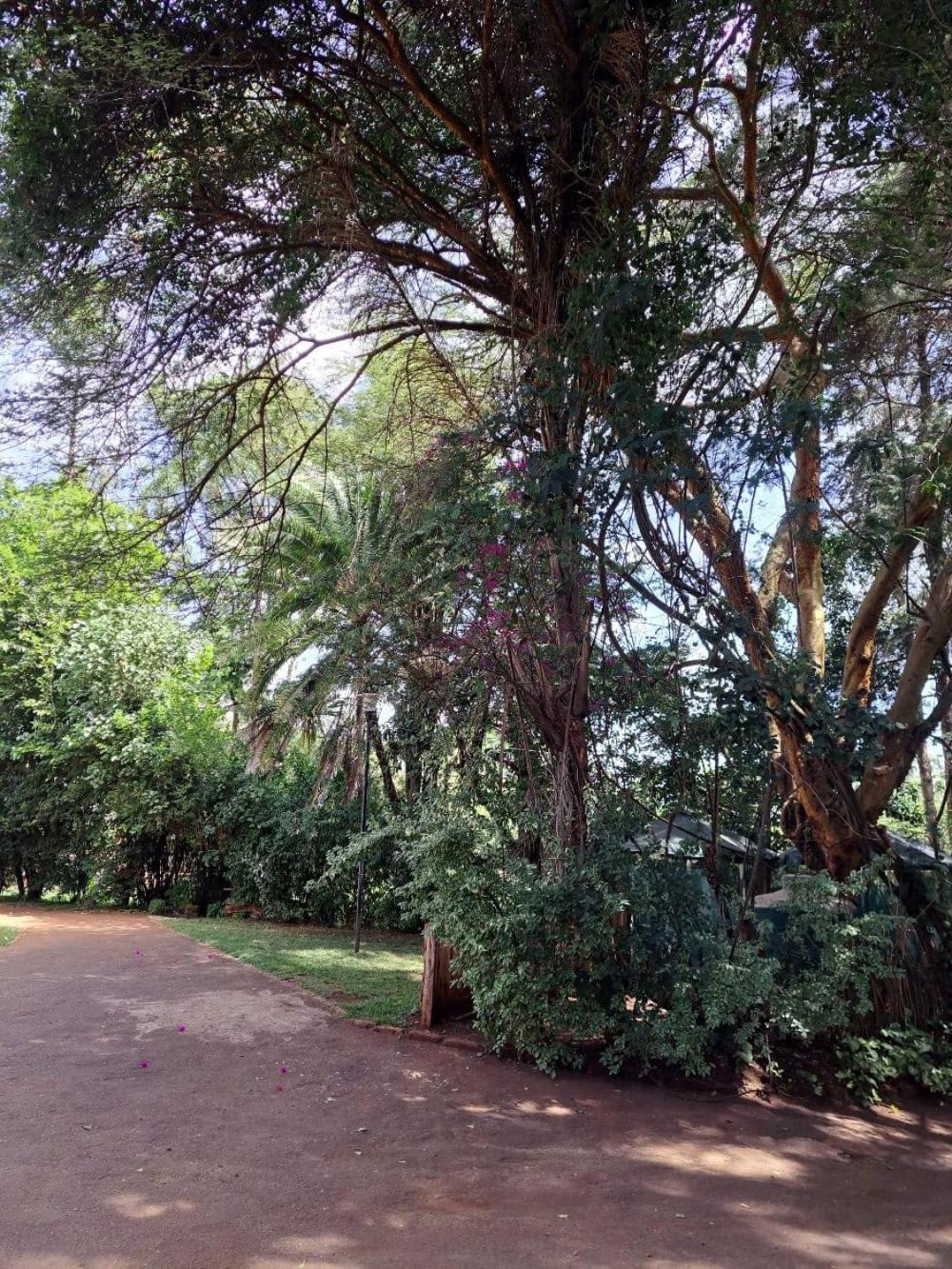 Rosslyn Hotel Nairobi