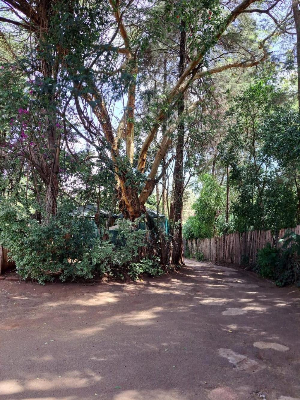 Rosslyn 3* Nairobi