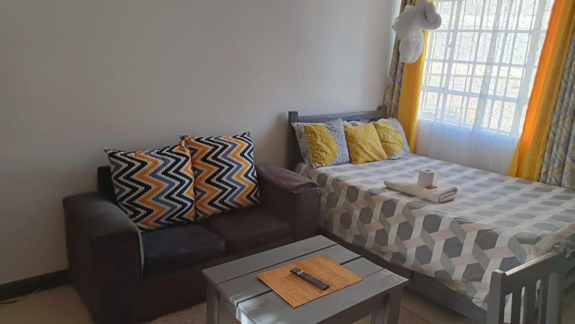 Duplex Bedsitter Nairobi