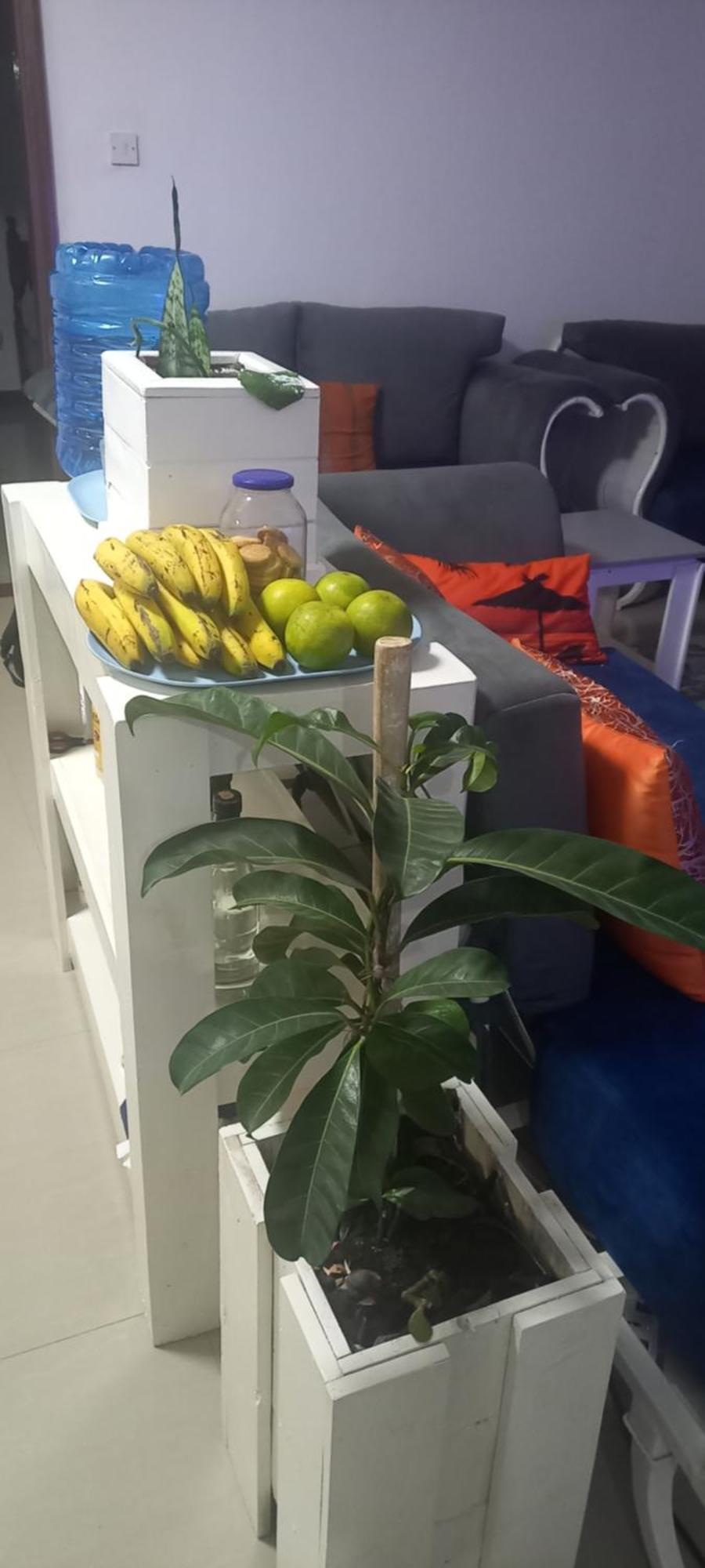 Tcr Residences At Kings Millennium- 3bdrm Apts, Ensuite, 7km To Jki Airport, 7km To Cbd