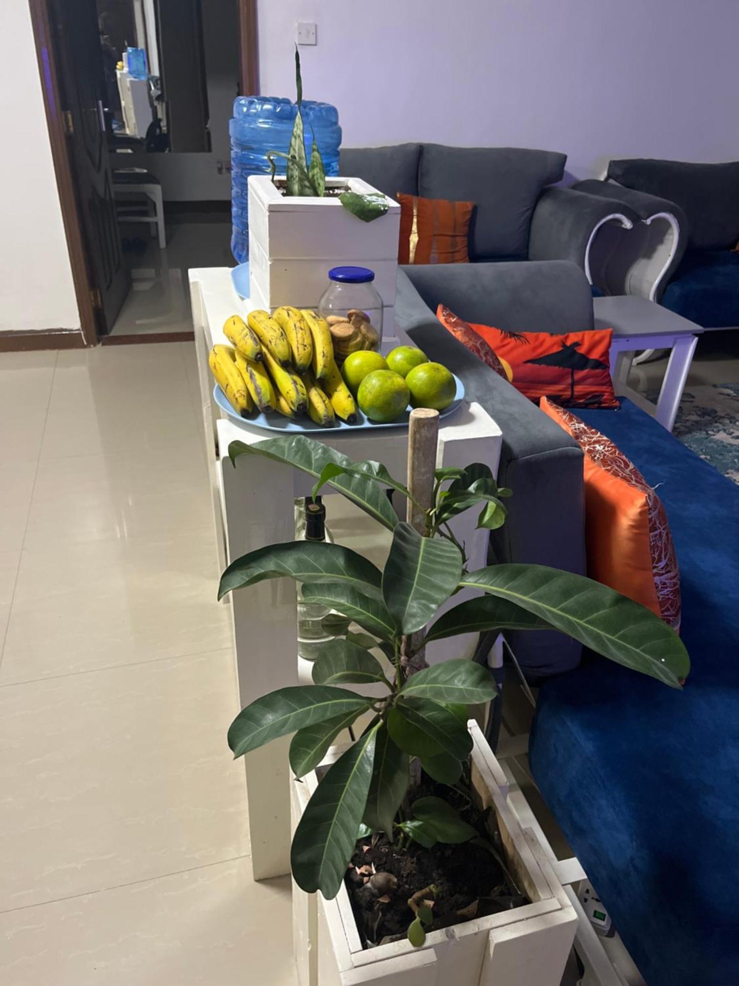 The Coffee Residences- 3 Bedroom Apartments-4km To Jkia, 7km To Cbd Nairobi