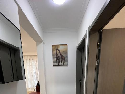 Apartment Joy's Luxury Homes Nairobi