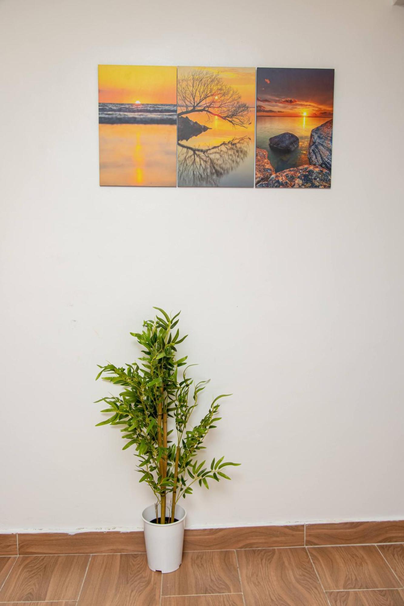 Cynrose Apartment