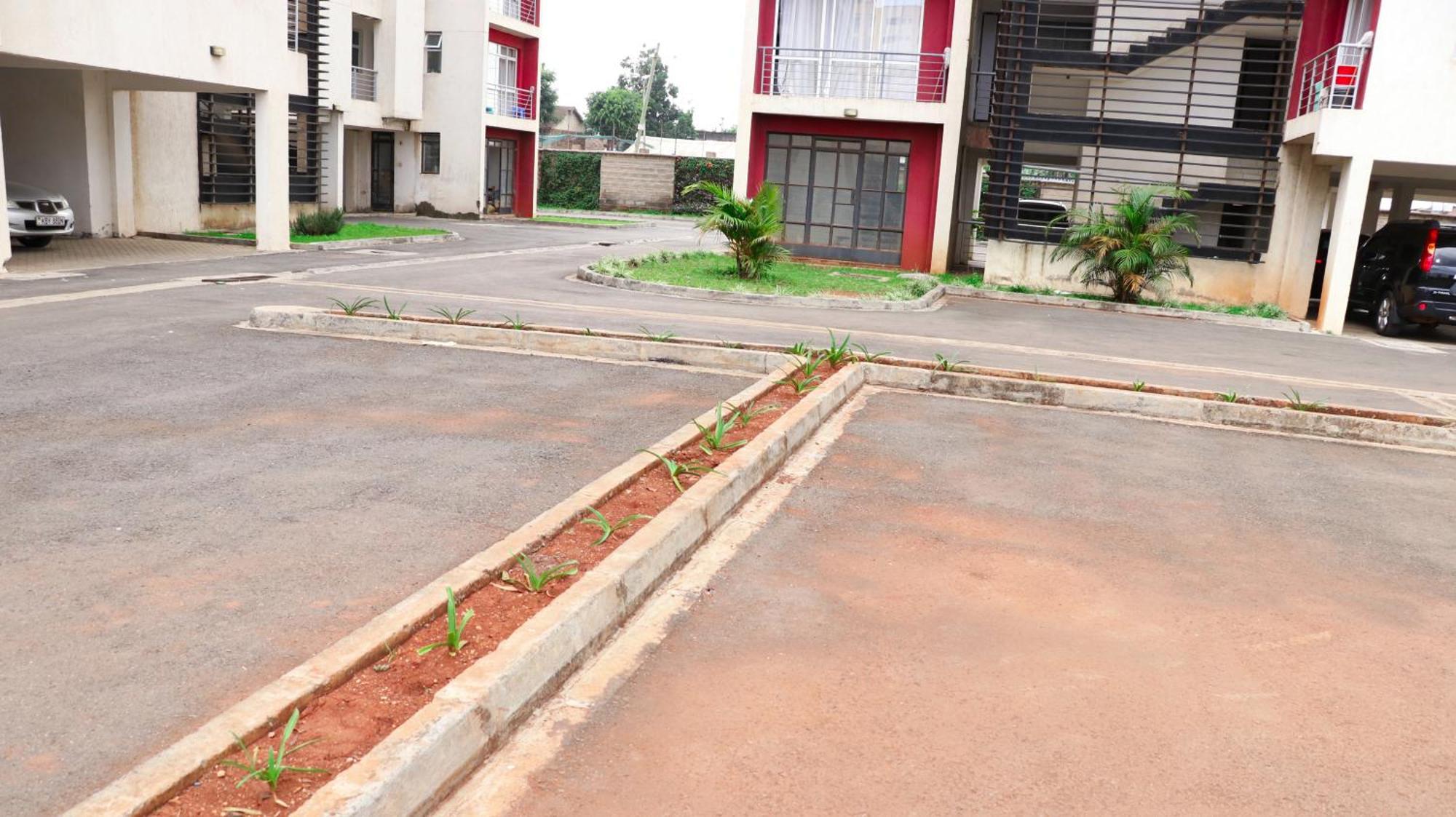 Oasis Full Of Fun & Enjoyment Apartment *