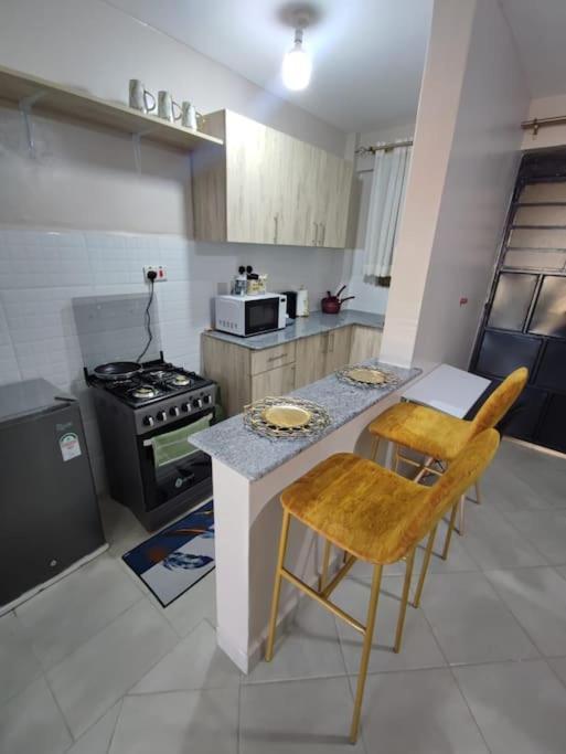 Tastefully Furnished In South B * Nairobi