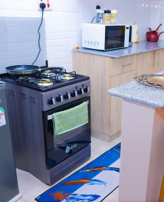 Tastefully Furnished In South B Apartment *