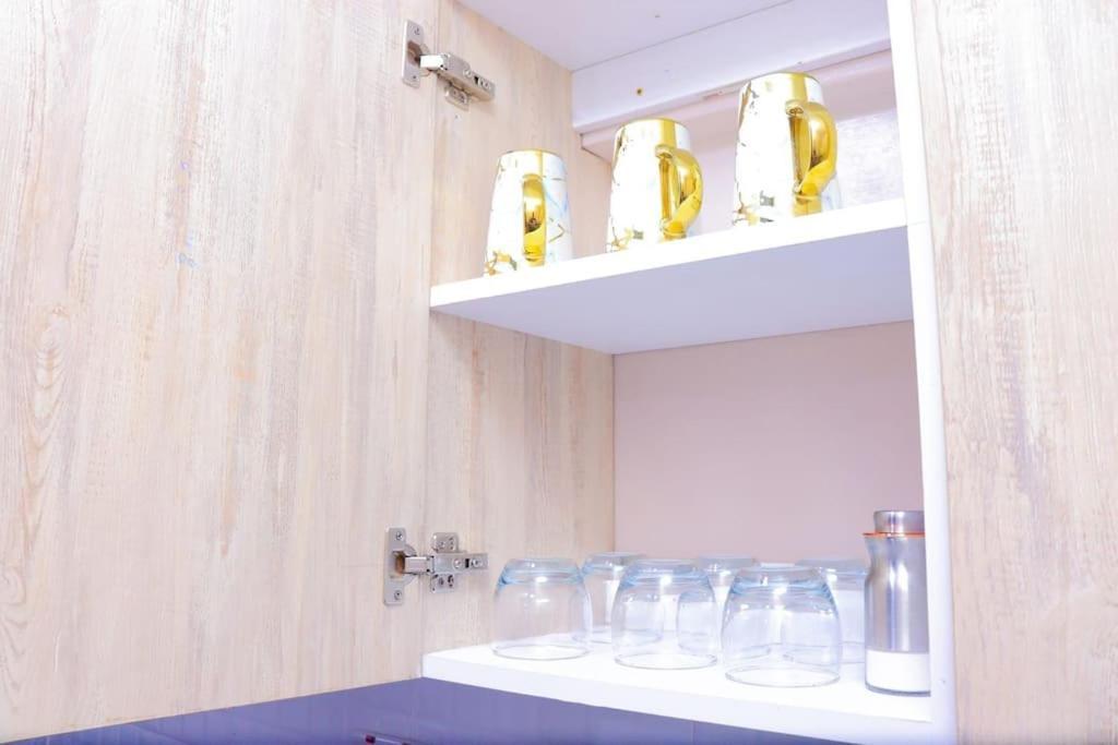 Tastefully Furnished In South B Apartment