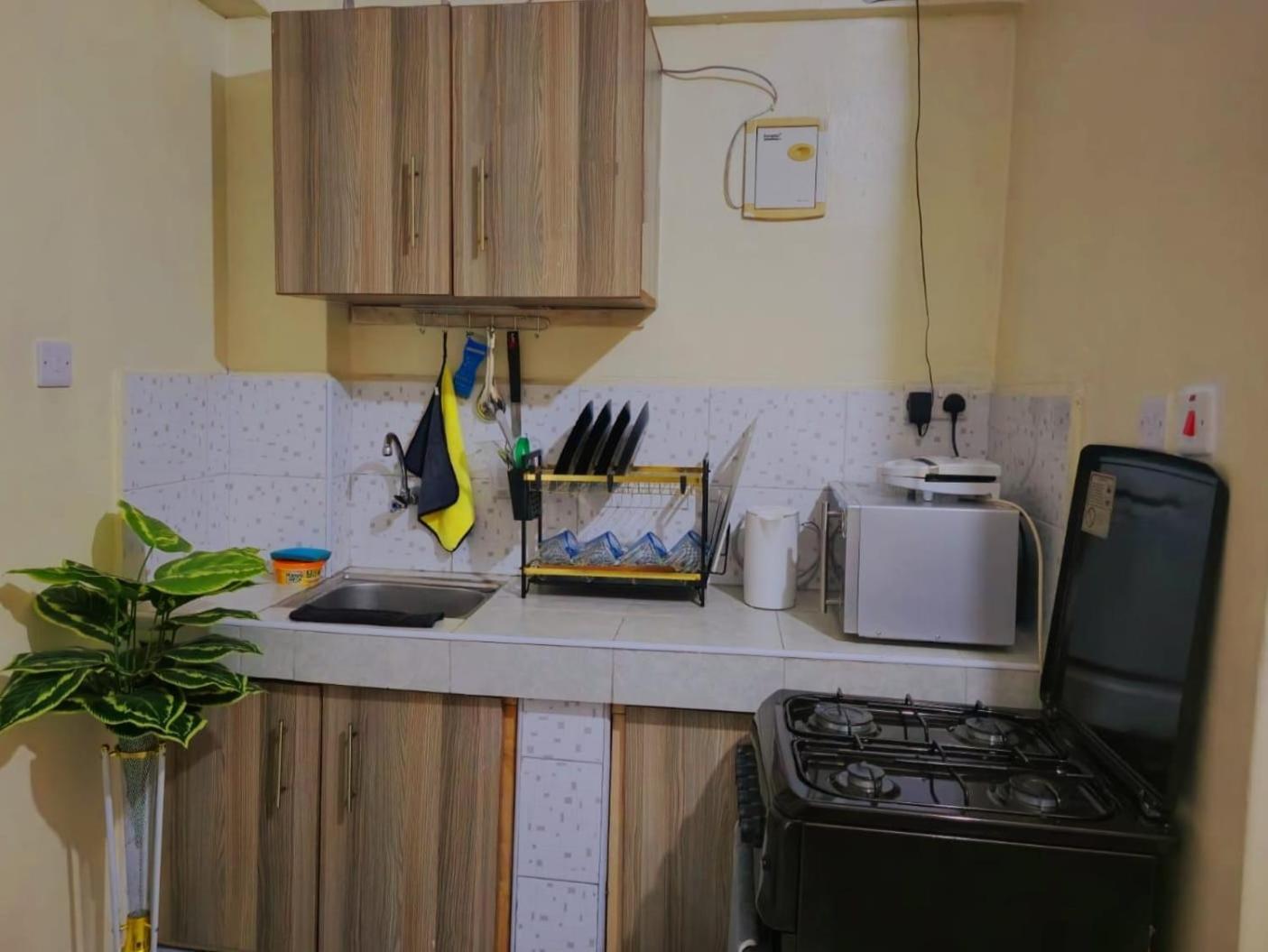 Apartment Flat In Business District