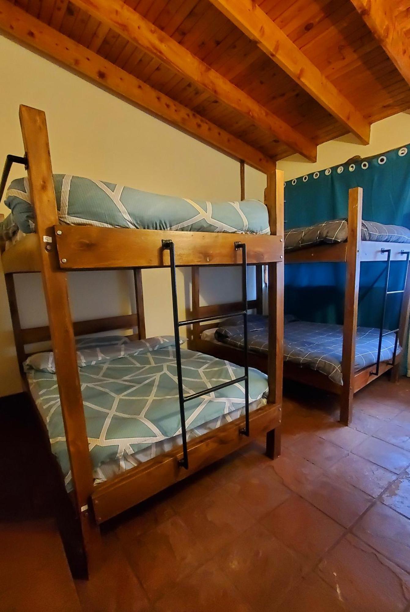 Hostel Mad Vervet Backpackers *
