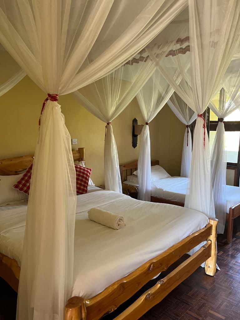 Lodge Masai