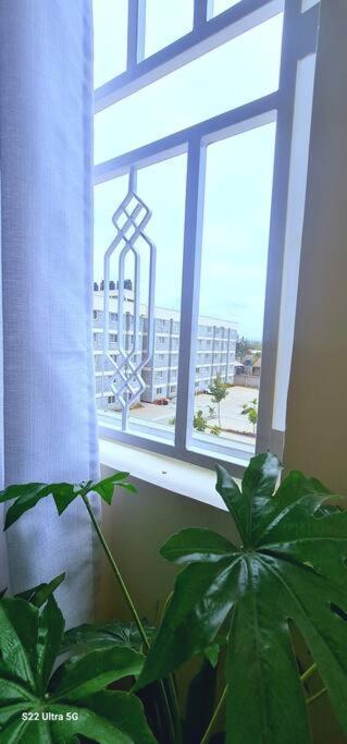 Apartment King's Serenity