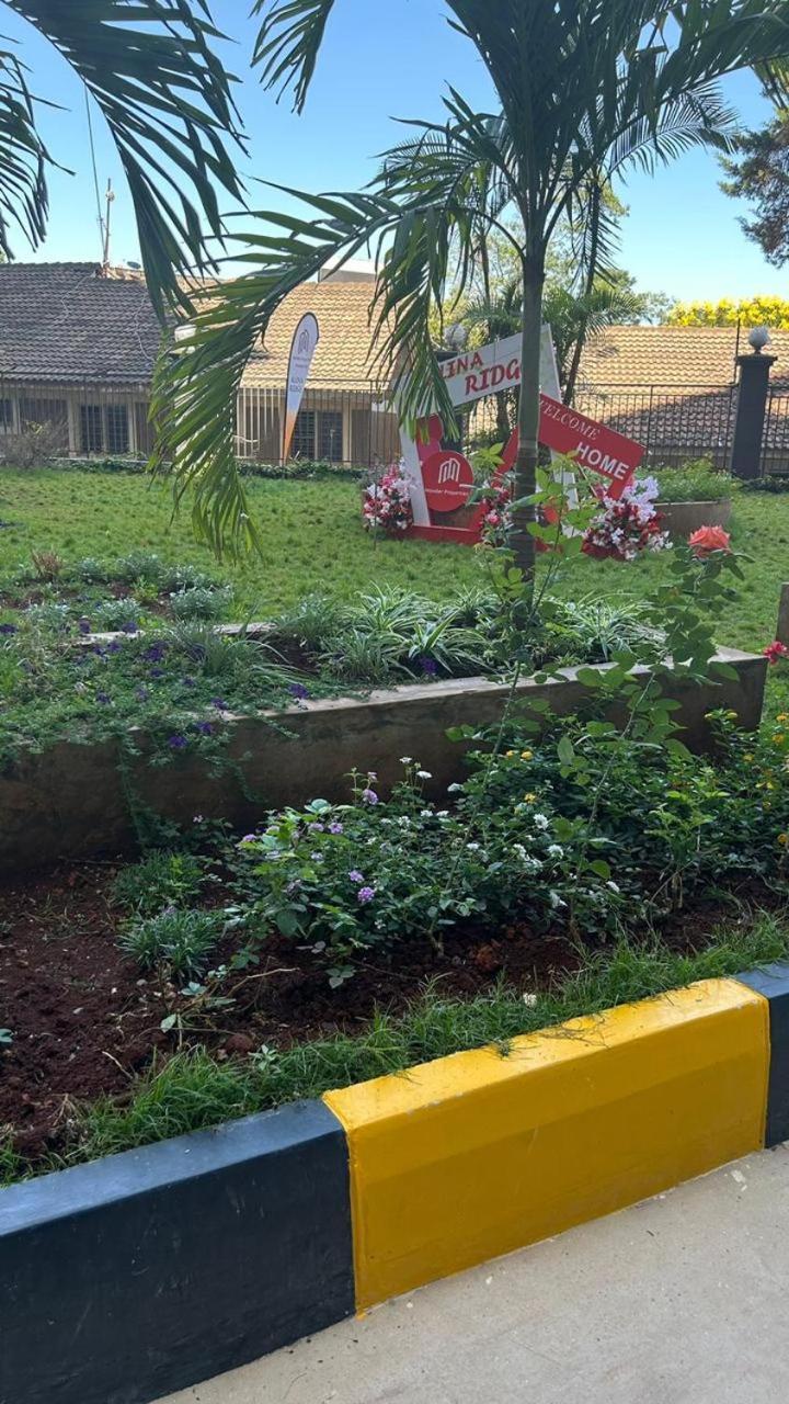 Ace Kileleshwa 1 Bedroom