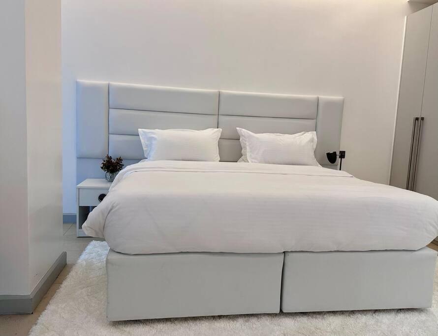 Skyfall - Brand New Ultra Luxurious 2 Bedroom Nairobi