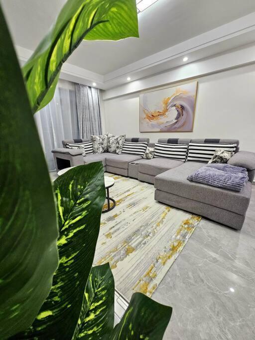 Apartment Cosynook Oasis Gardens *