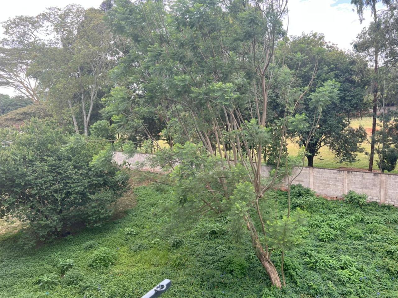 Johari Westlands School Lane * Nairobi