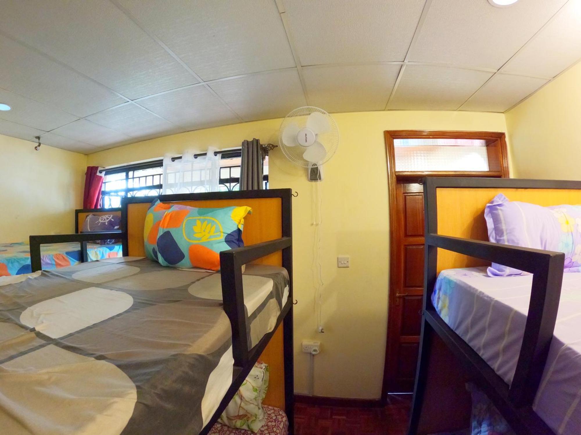 Hostel Backpackers