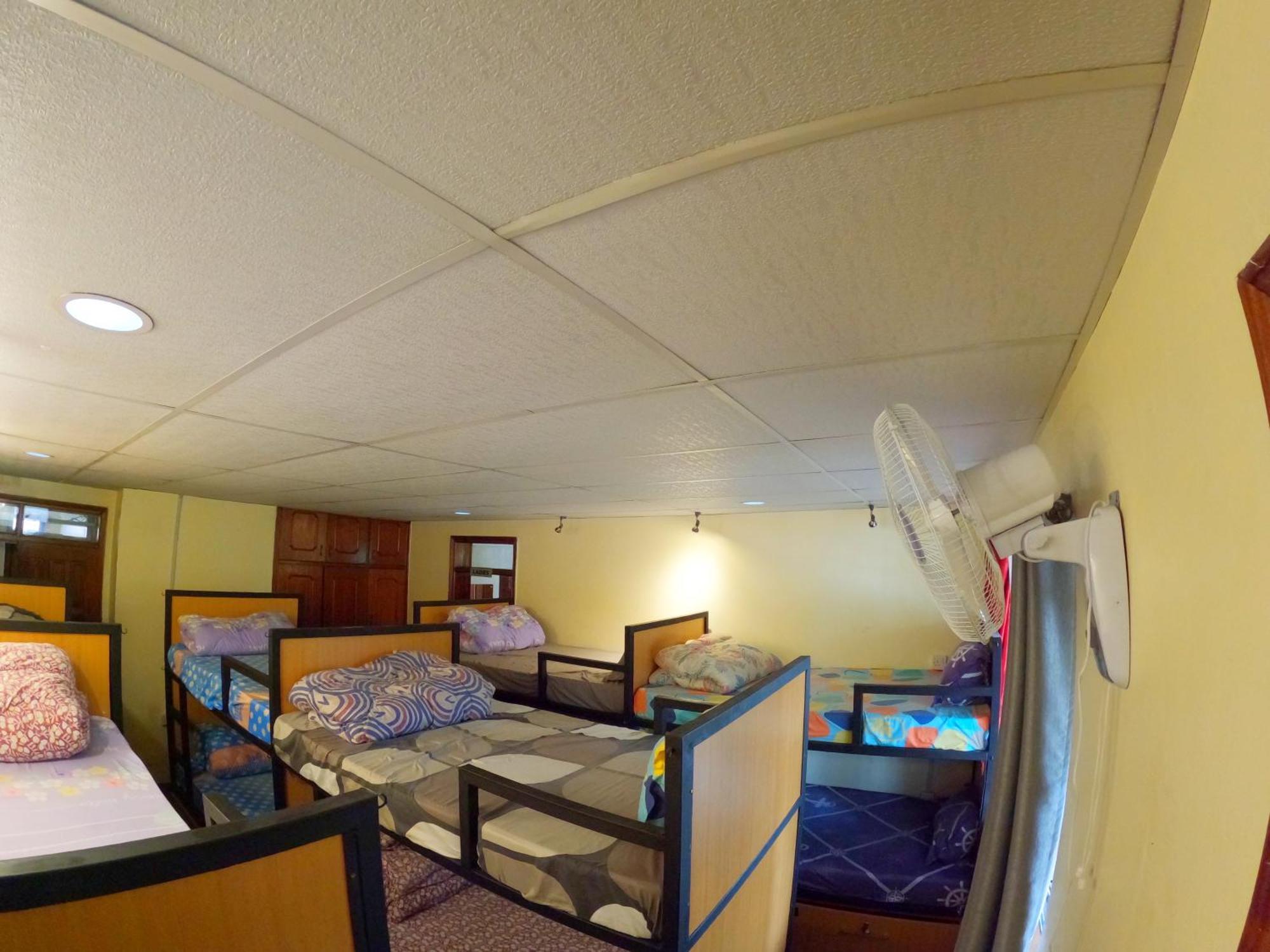 Hostel Backpackers *