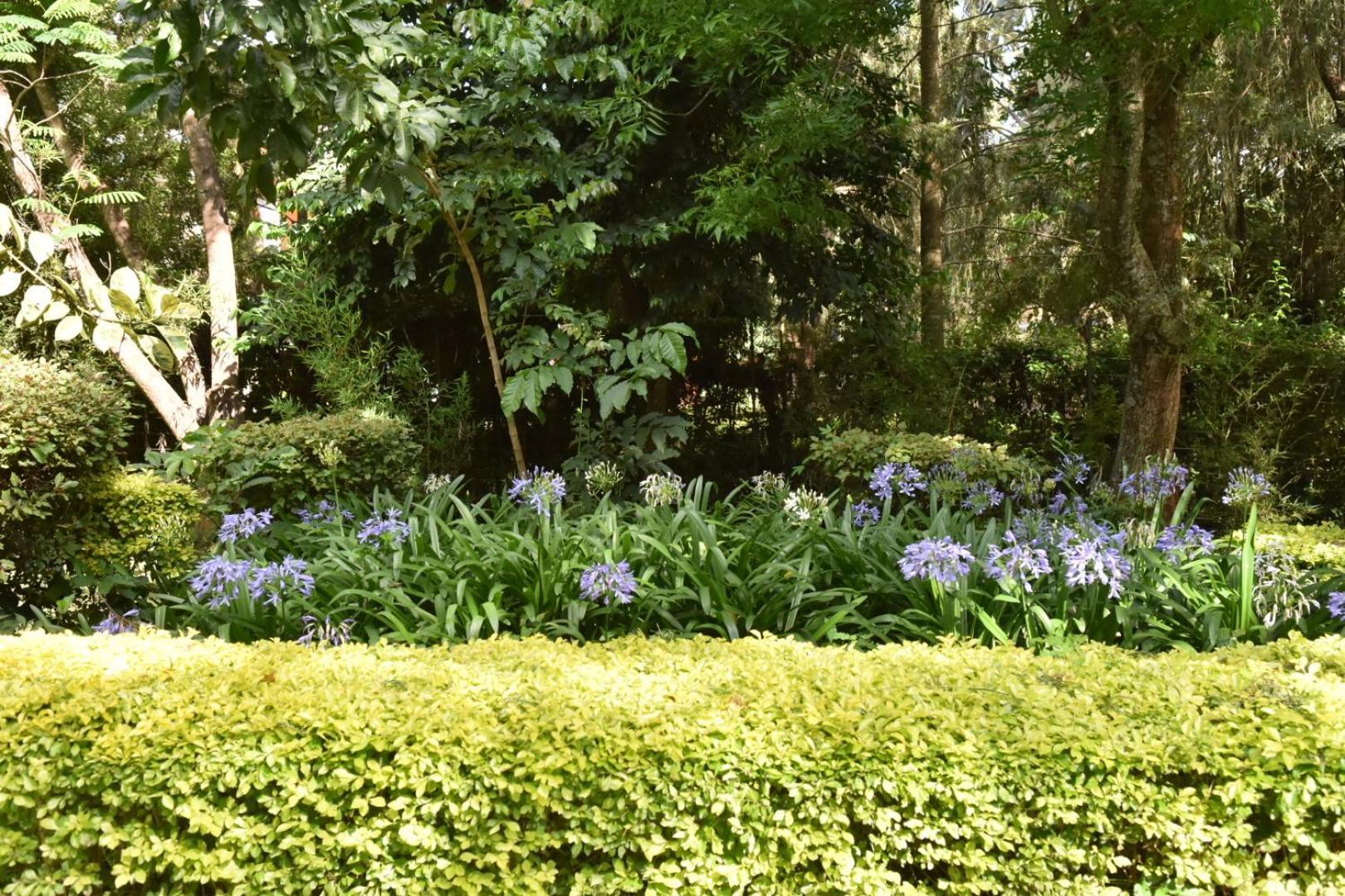 Venia Place Bed & Breakfast *