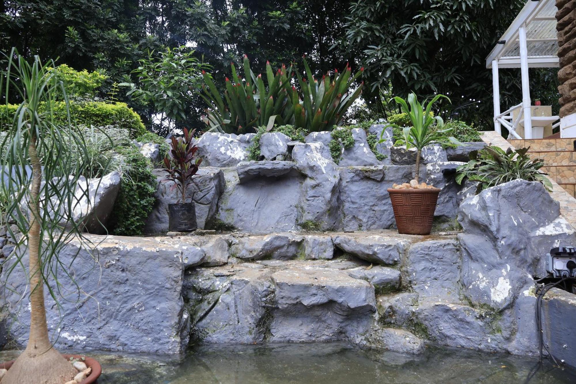 United House Homestay