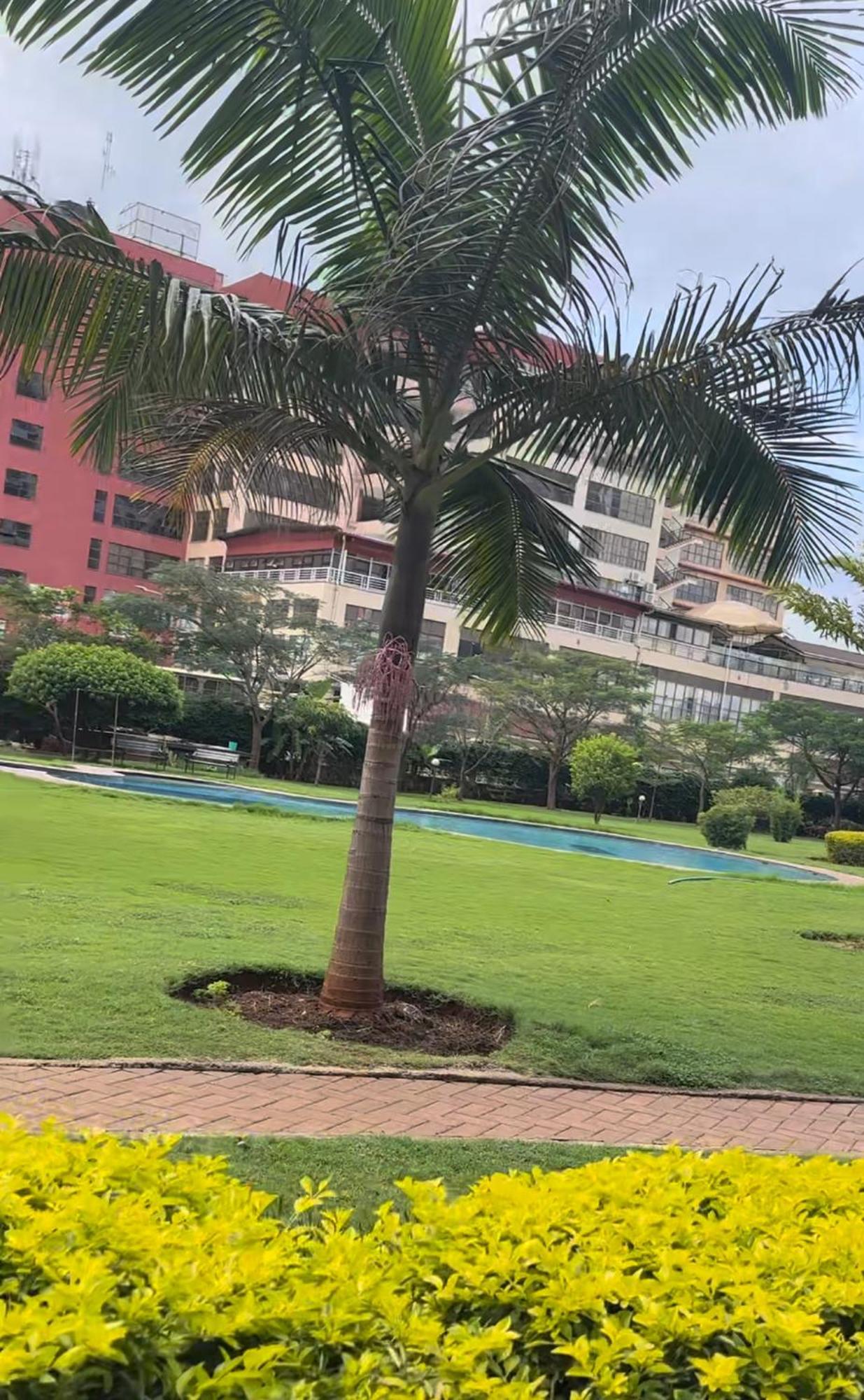 Apartment Cozy One Bedroom - Sapphire Near Jkia, Eka Along Mombasa Road