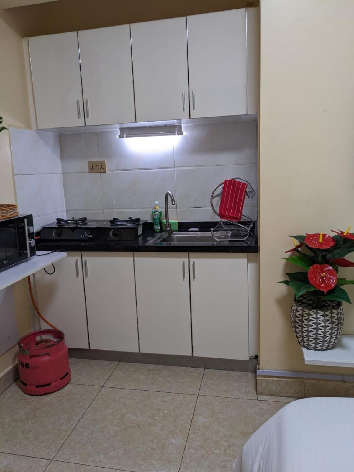 Bliss Haven Studio Westlands Apartment
