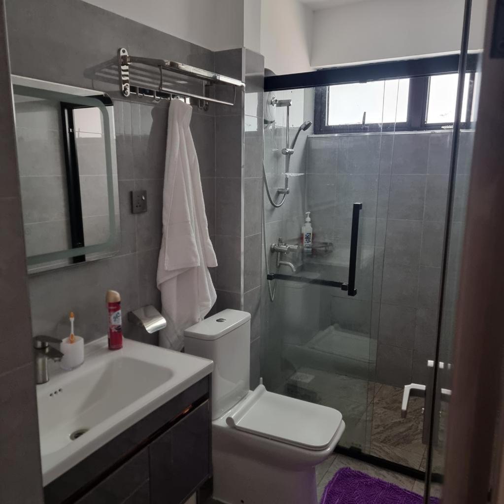 Safari Two Bedroom Apartment Nairobi