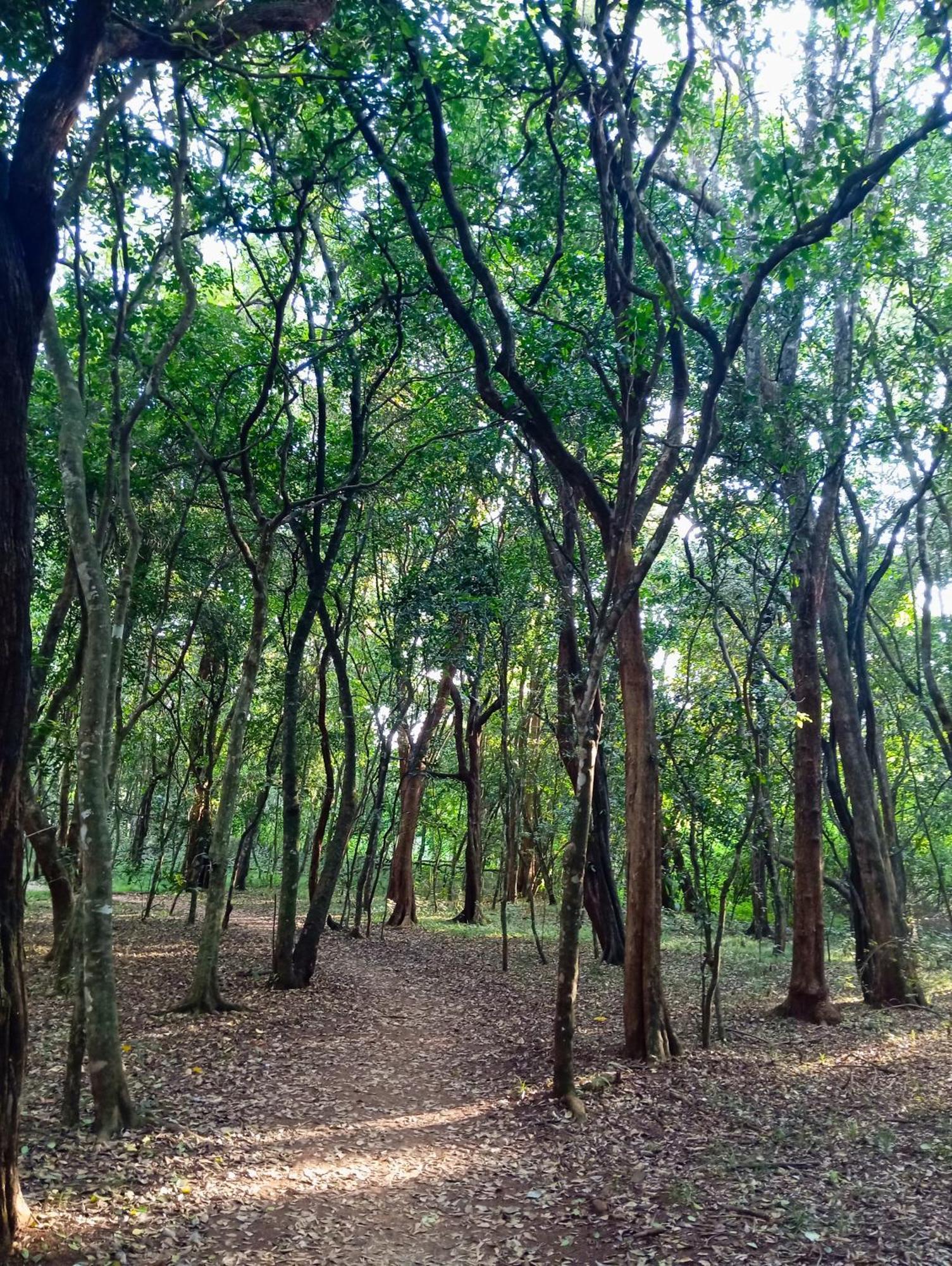 Lujit-boza Nairobi