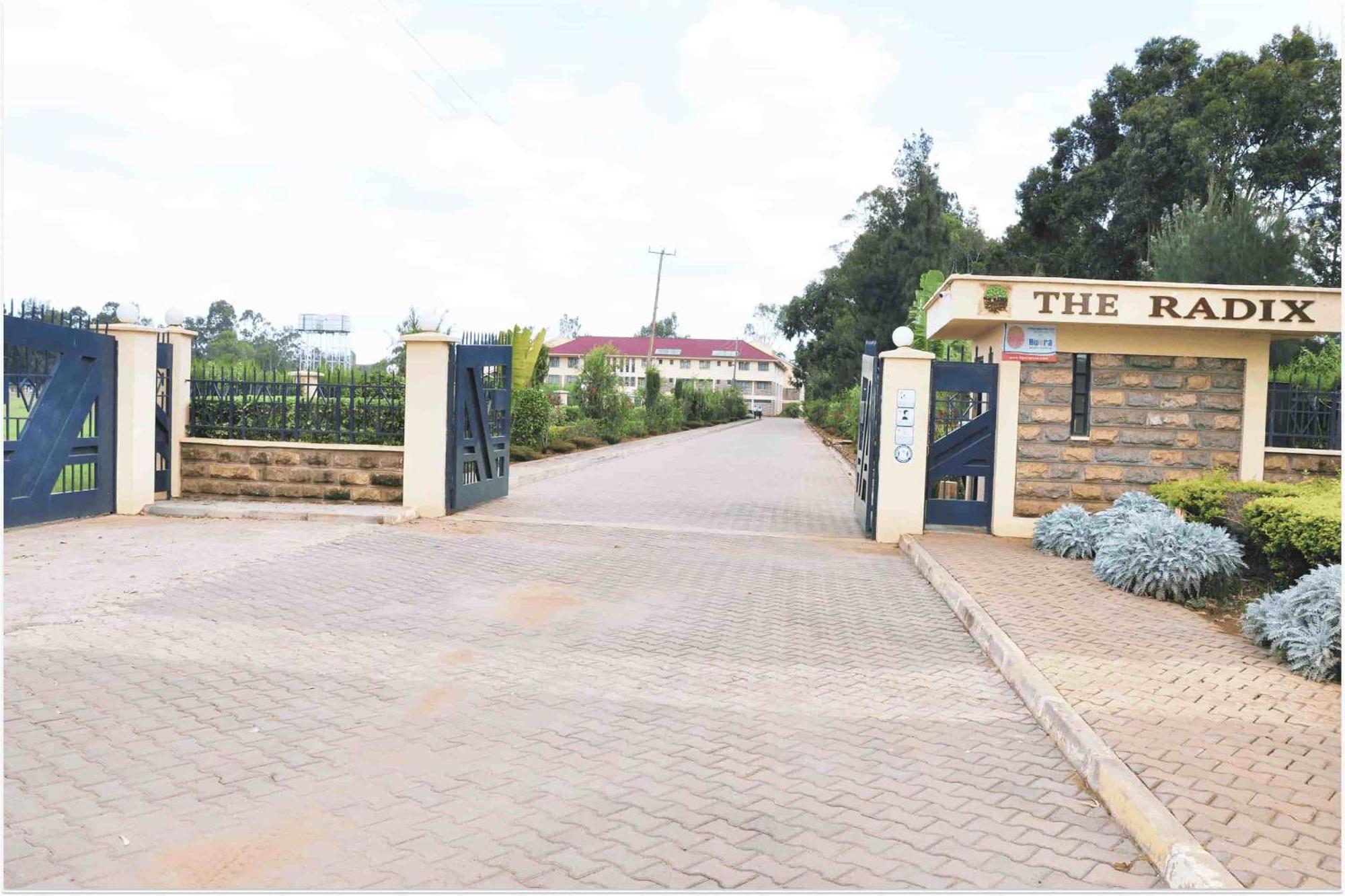 The Radix Limited Hotel