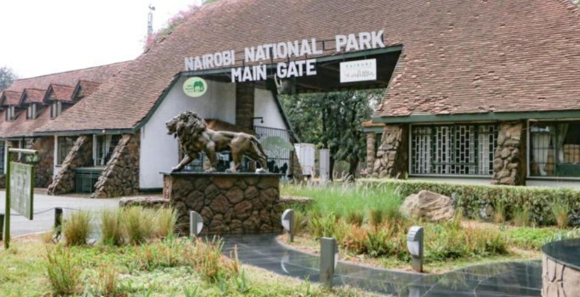 Lux Jkia Airport View Apartment Nairobi