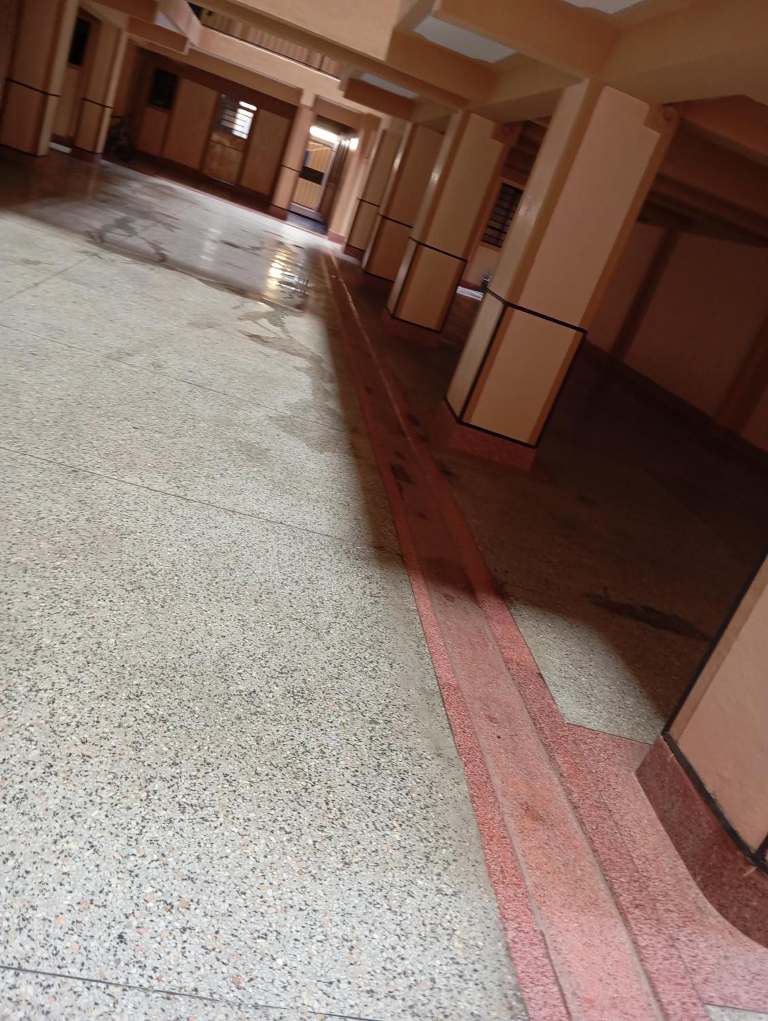 Papino Apartments, South B