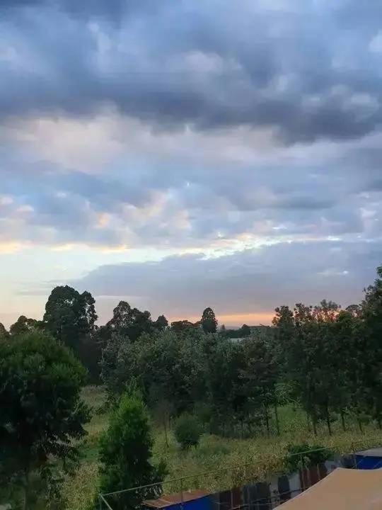 Waiyaki Way Springs Apartment *