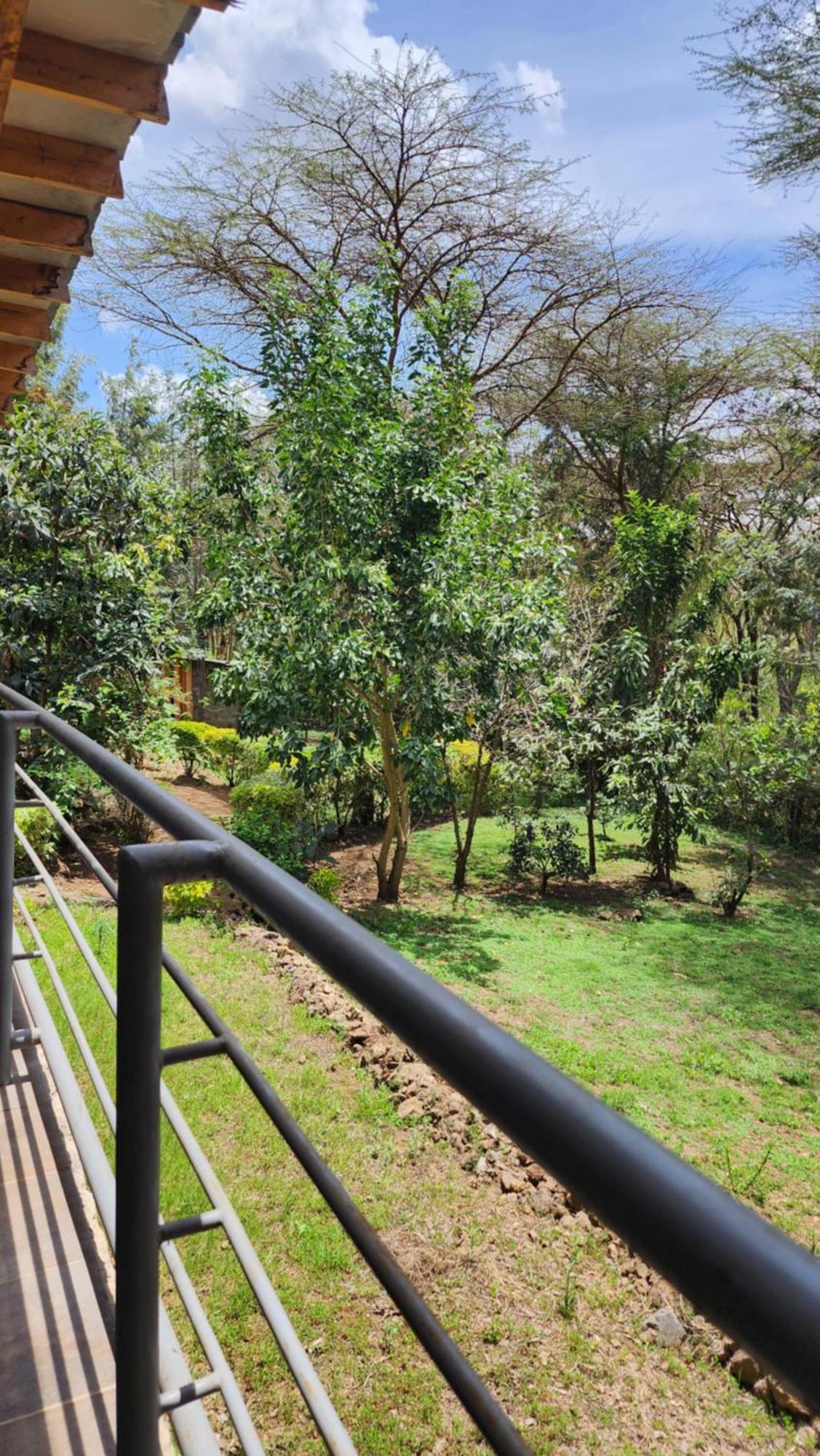 Jazzawanda Forest Retreat * Nairobi