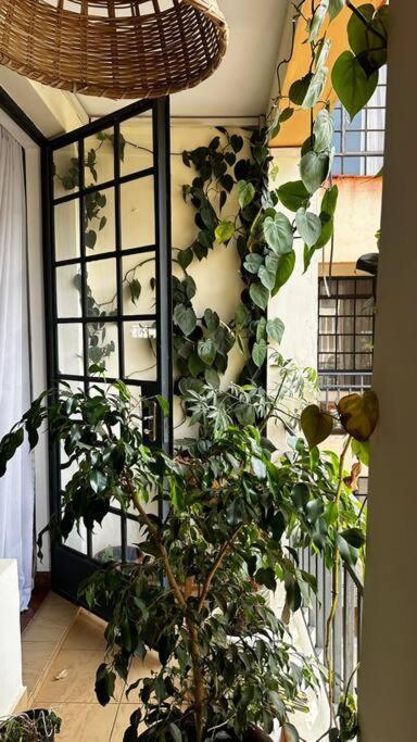Rorot Lush 2 Bdrm Riverside Apartment
