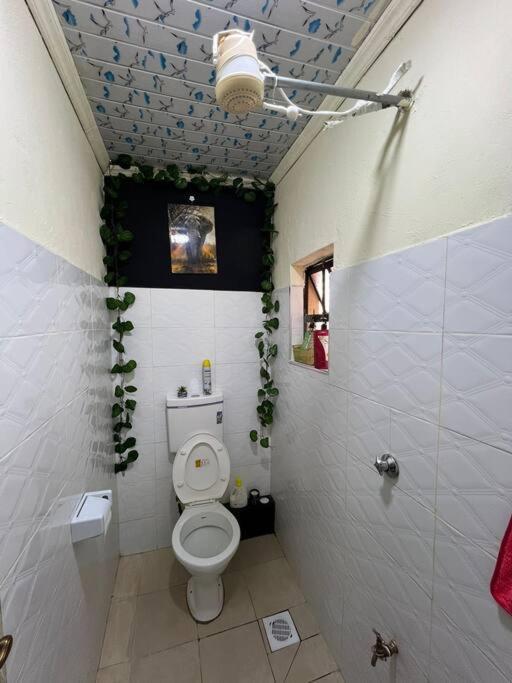 2609 Residency *
