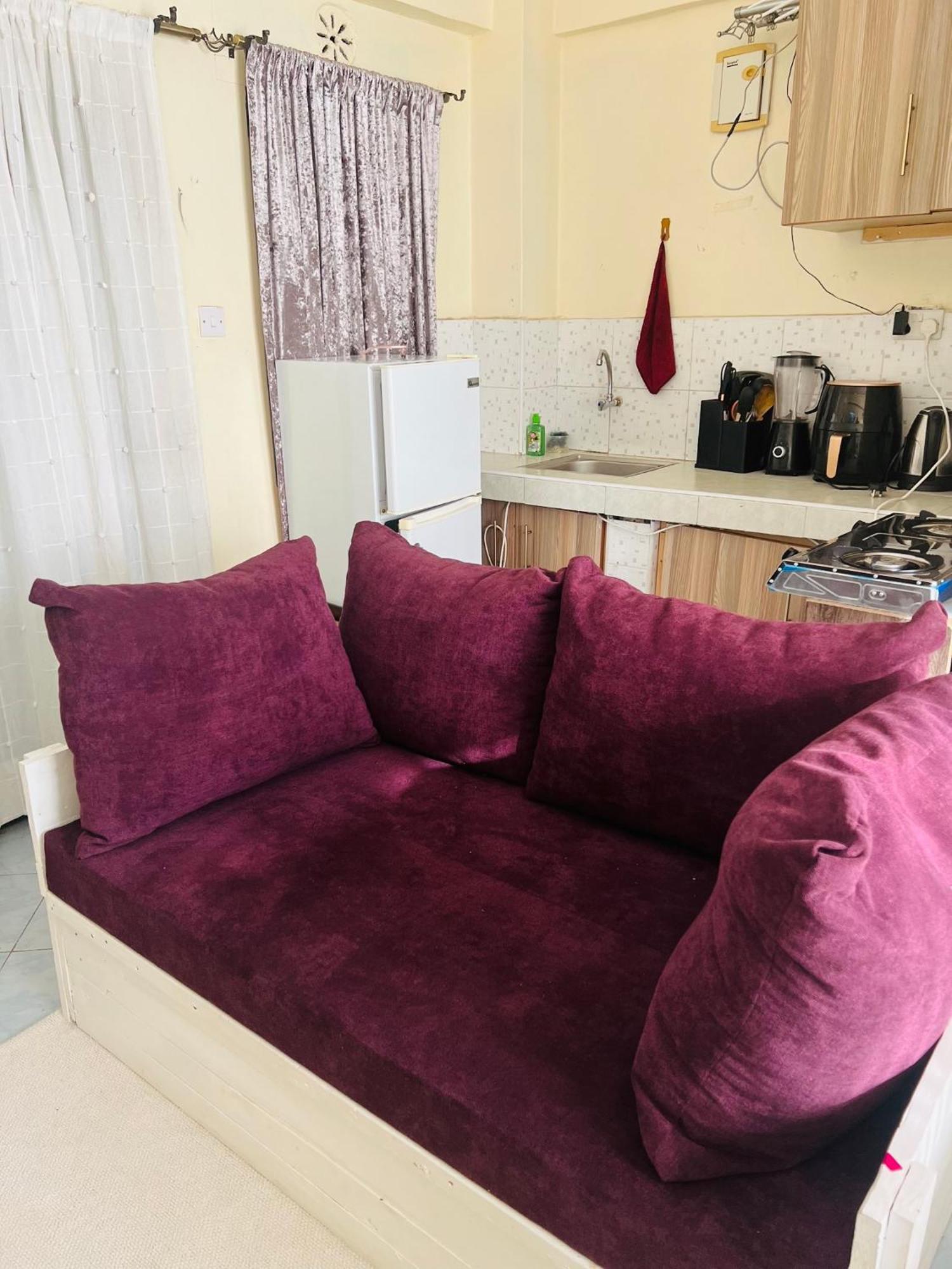 Fully Furnished Mini Bedsitter In Ngara 1km To Cbd Apartment Nairobi