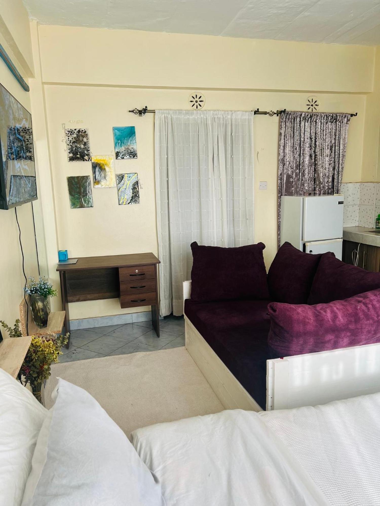 Fully Furnished Mini Bedsitter In Ngara 1km To Cbd *