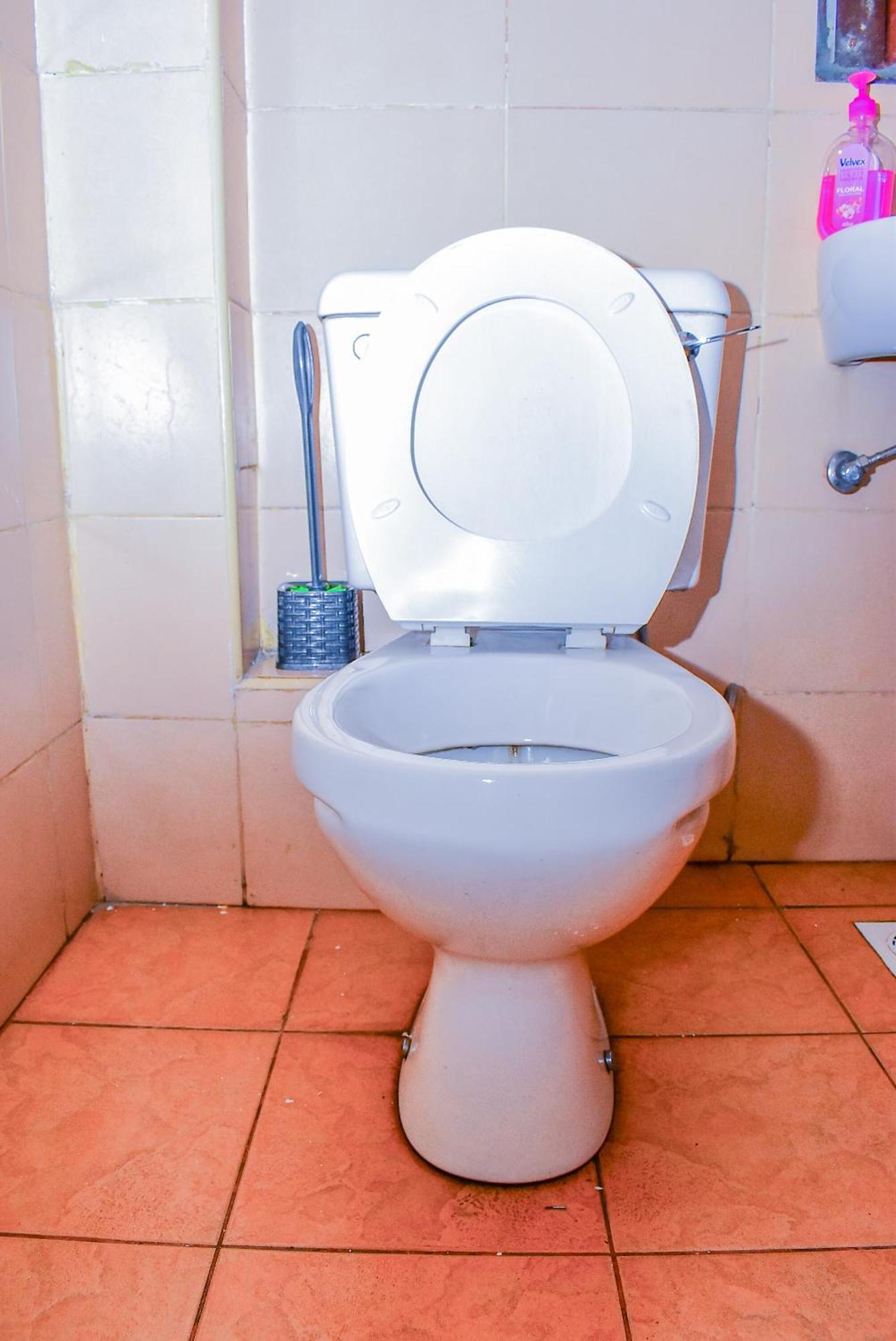 Mvuli Studio Furnished Apartment *