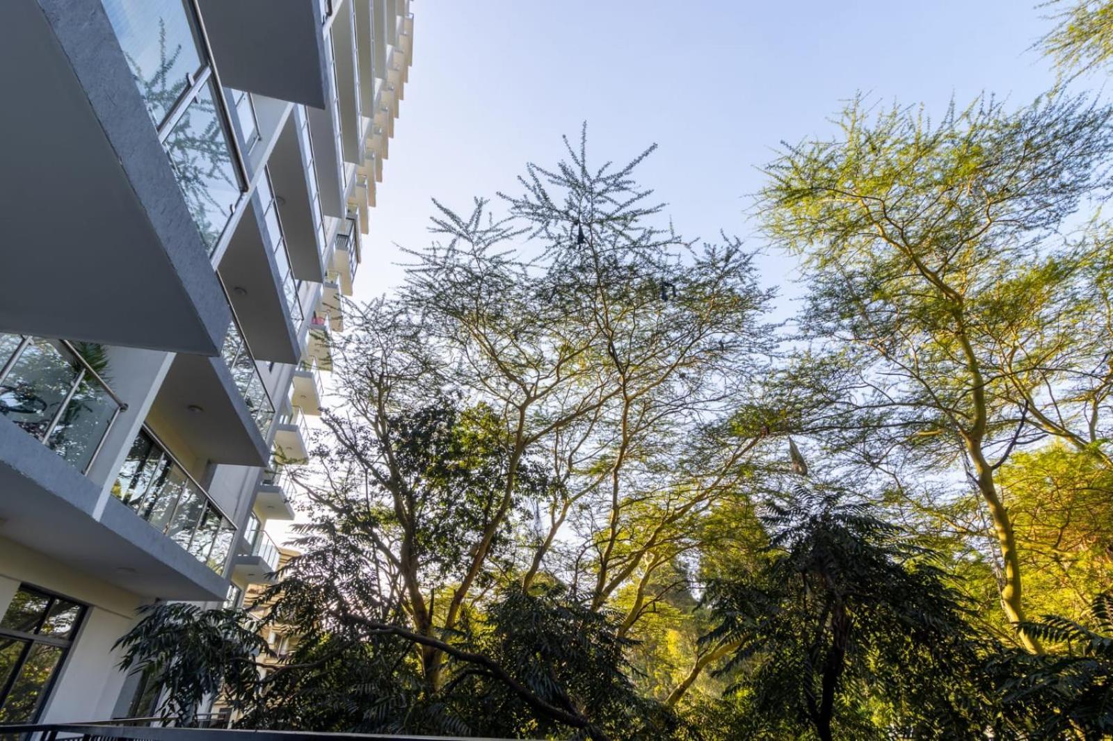 Lush, Views, Serene 1bed Highrise Apartment *