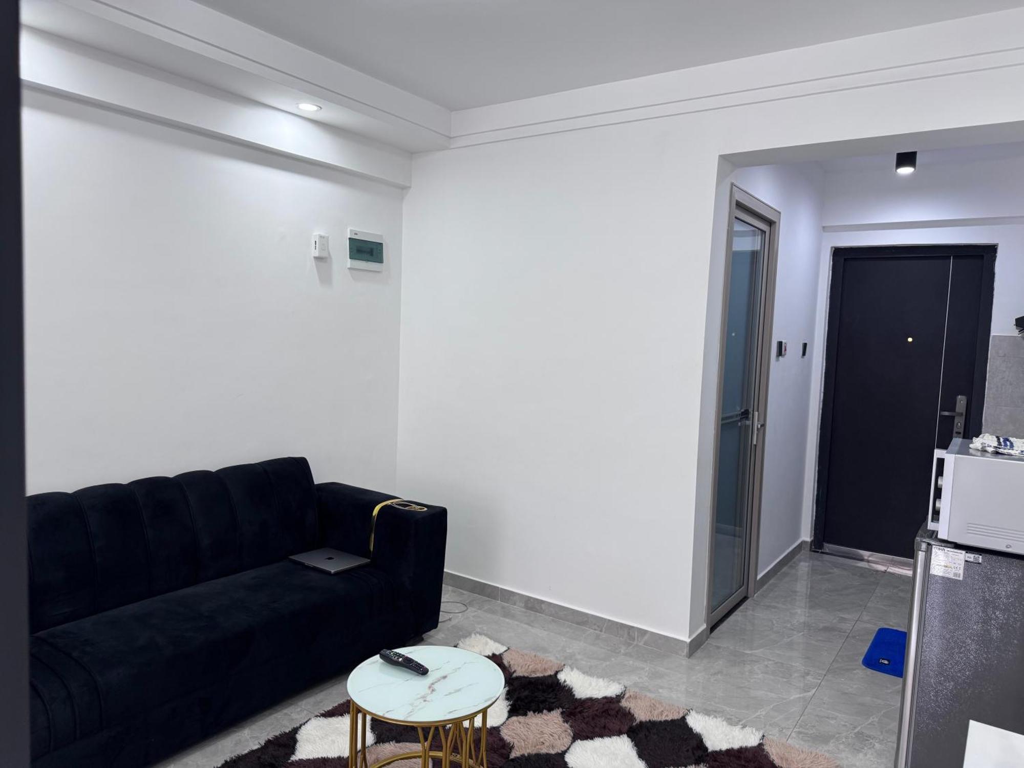 Apartment Fully Furnished Spacious One Bedroom