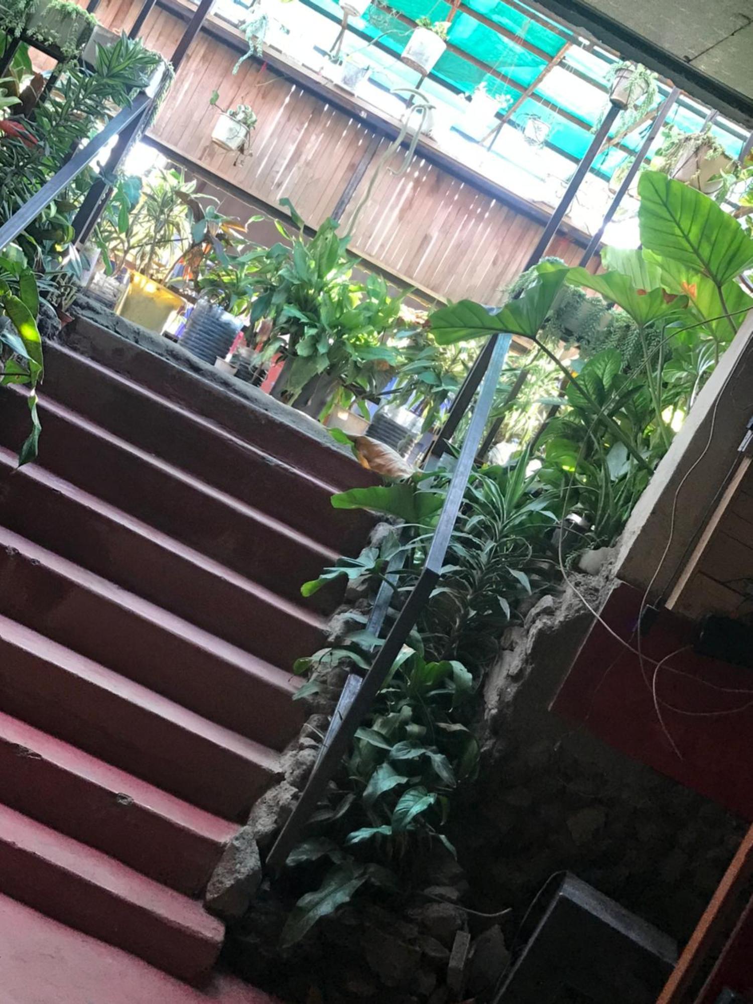 Top-notch Homes Bed & Breakfast Nairobi