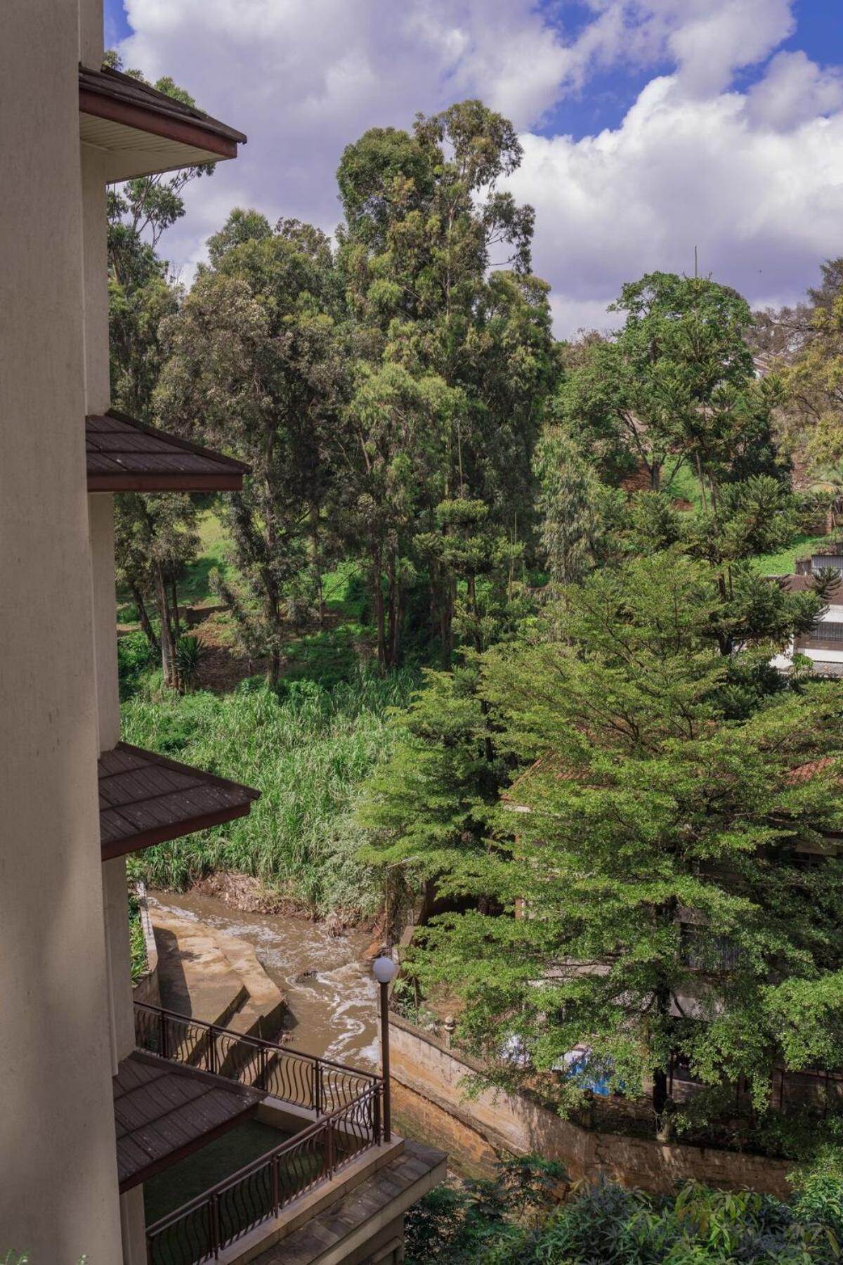 Riverside Heaven With Gym, Views Apartment Nairobi