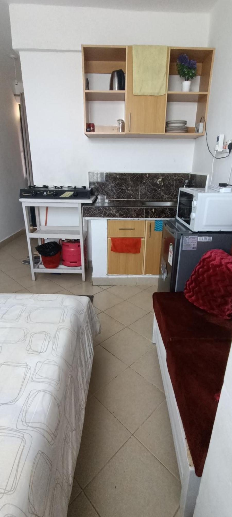 Executive Apartment *