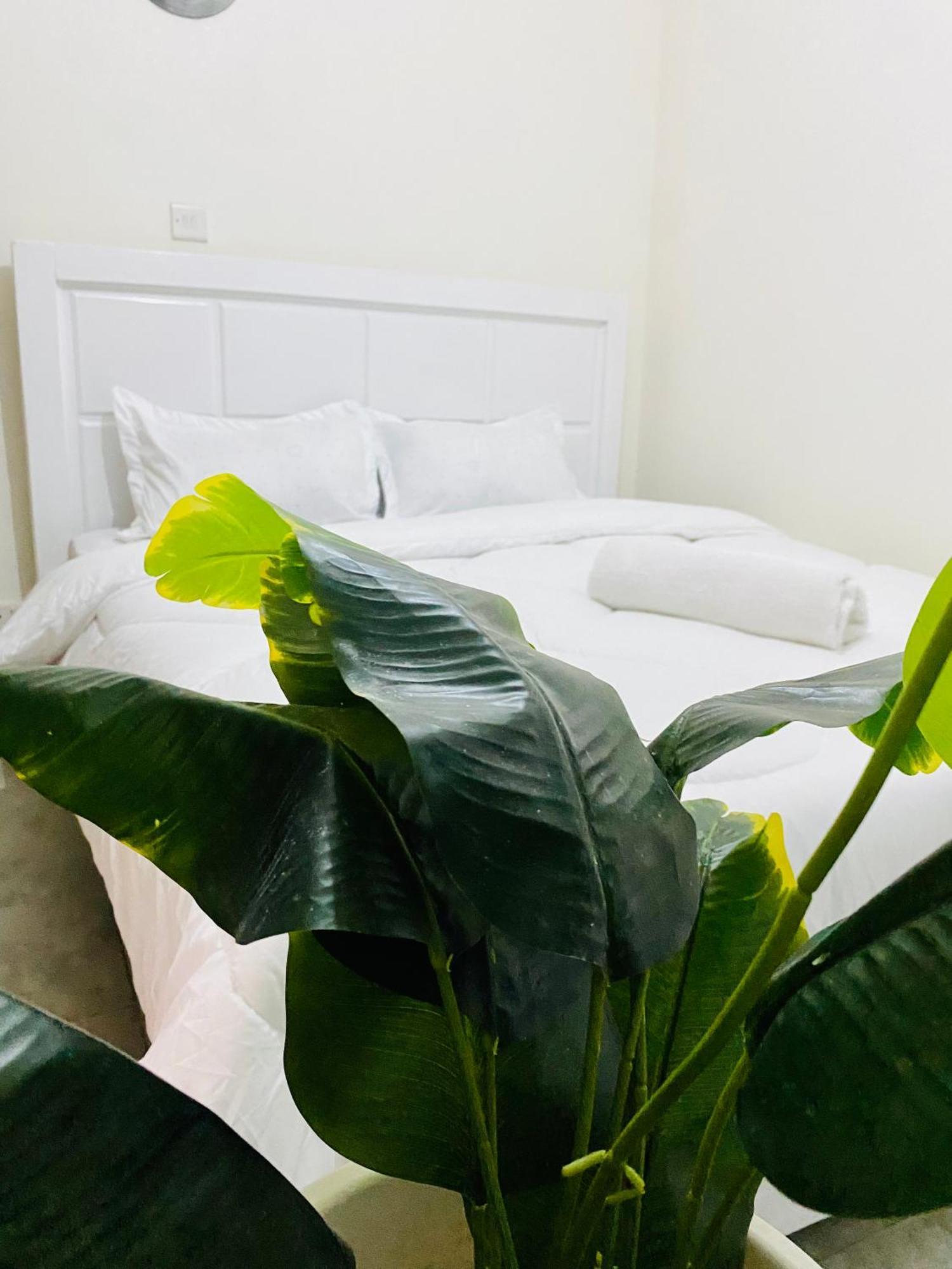 Kierra Homes Apartment