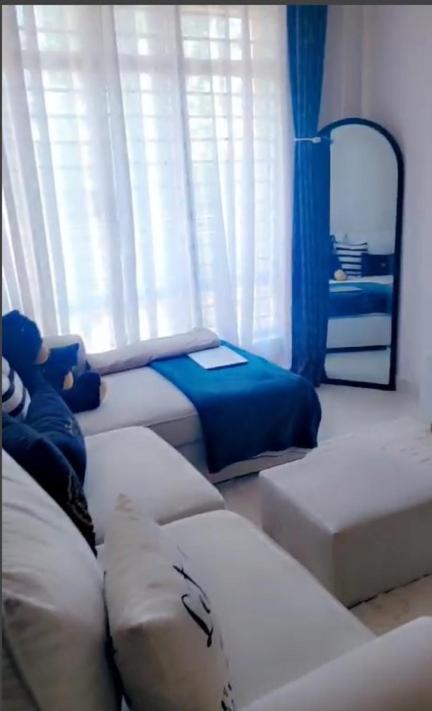 One Bedroom Aviv *